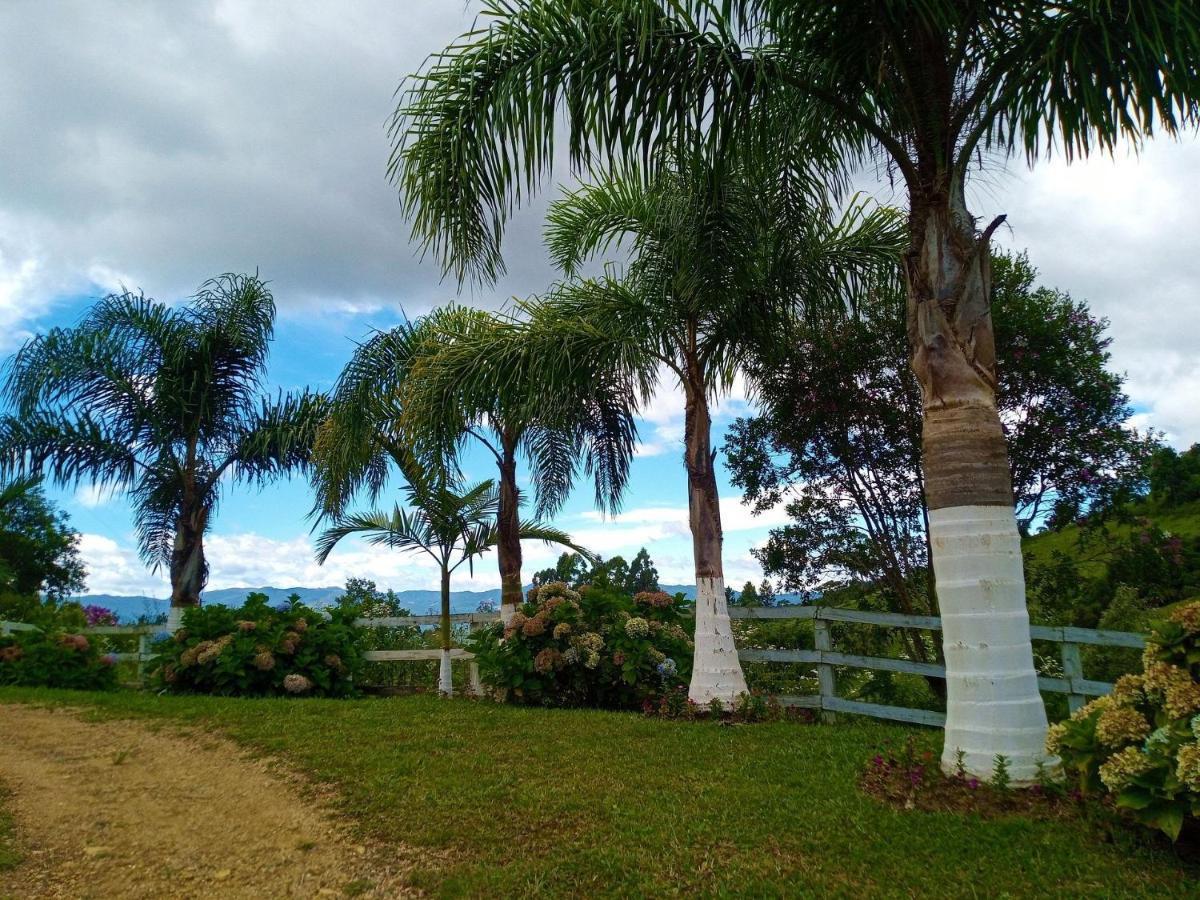 Sitio Pedacinho Do Ceu Na Serra Catarinense Rancho Queimado Exterior foto